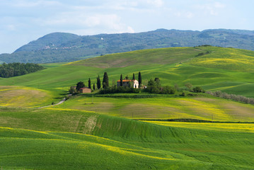 Piękna ziemia uprawna wiejski krajobraz, cyprysowi drzewa i kolorowi wiosna kwiaty w Tuscany, Włochy. Typowy wiejski dom.