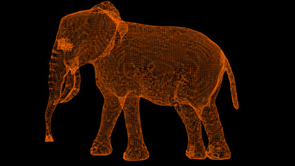 3d rendering słoń wireframe high poly mesh