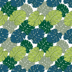 Tropikalny liść Monstera wzór Pattern.Summer pozostawia tropikalny