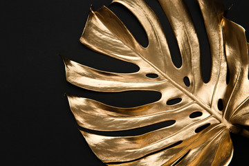 Złoty monstera liść na czarnym tle