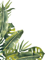 Akwarela układ rogu z egzotycznymi roślinami tropikalnymi