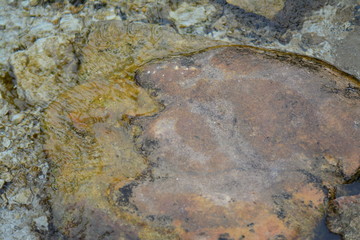 Granitowy kamień pod wodą w górskiej rzece