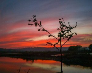 Wspaniały czerwony zachód słońca. Ogień na niebie