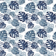 Botaniczny bezszwowy wzór Akwareli Mali Głębocy Błękitni Monstera liście