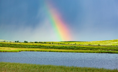 Rainbow w Skandynawii