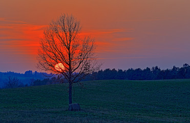 Wiosenny Zachód Słońca