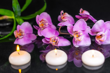 skład spa purpurowa orchidea (phalaenopsis), świece, zielone liście i czarne kamienie zen z kropli na wodzie z refleksji