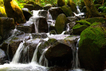Mała siklawa w dżungli blisko Wailua rzeki na Kauai, Hawaje, usa.