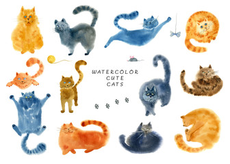 Zestaw ślicznych kotów na białym tle.