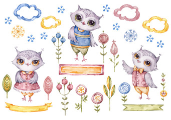 Kolekcja ładny sowy akwarela, elementy kwiatowe
