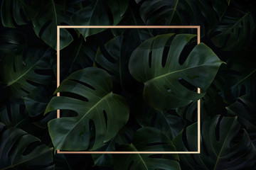 Złota ramka na liściach