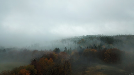 jesienny las za mgłą