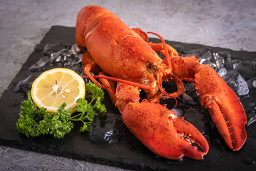 cały gotowany obraz homara