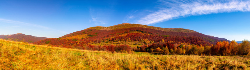 Halna panorama w jesieni w promieniach zmierzchu. Wielka Rawka - Bieszczadzki Park Narodowy - Polska