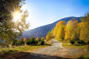 Górska ścieżka jesienią w promieniach zachodu słońca.