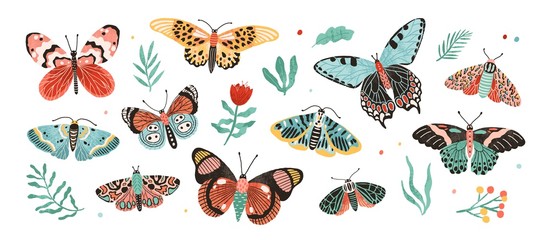 Kolekcja eleganckich egzotycznych motyli i ćmy na białym tle. Zestaw tropikalnych owadów latających z kolorowymi skrzydłami. Pakiet dekoracyjnych elementów. Ilustracja wektorowa płaskie