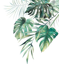 Akwarela tropikalny liści plakat. Ręcznie malowane egzotyczne monstera i palm zielone gałęzie skład na białym tle. Ilustracja rośliny letnie