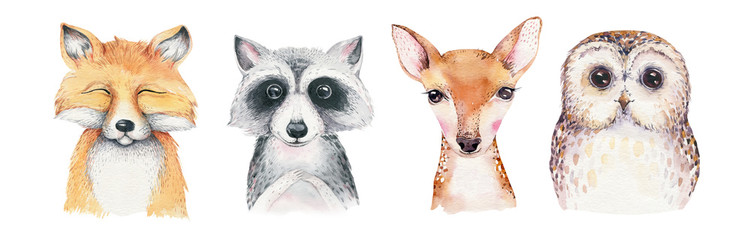 Akwarela zestaw kreskówka las na białym tle słodkie dziecko lis, jeleń, szop i sowa zwierzę z kwiatami.