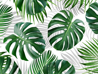 Tropikalne liście wzór tła monstera i żółtej palmy.