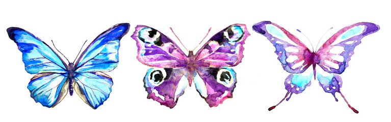 zestaw kolorowych motyli