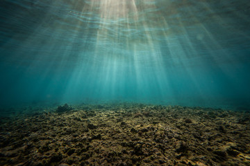 underwater sunr rays