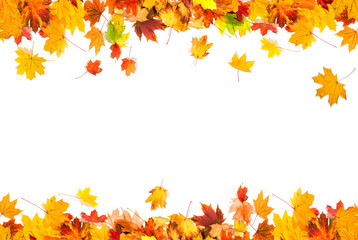 jesienne liście w tle