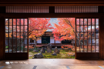 京都 建仁寺の紅葉