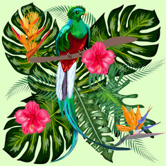 Zielony ptak tropikalny Wielki olśniewający kwezal siedzący na gałęzi na tle tropikalnych liści i kwiatów