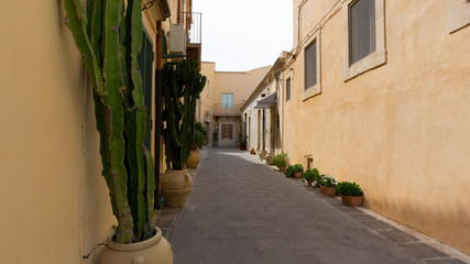 Noto, Sycylia, Włochy, schody, katedra, 