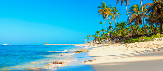 Beautiful beach with palm trees. Tropical paradise beach with white sand. Summer tropical landscape, panoramic view. Summer vacation travel holiday background concept. Caribbean beach. Palm beach