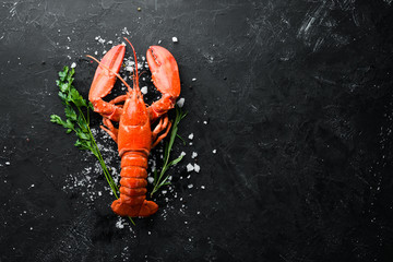 Homar z przyprawami na ciemnym tle. Widok z góry. Bezpłatne miejsce na kopię.