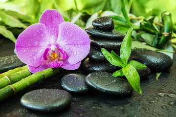 Spa koncept z kamieni zen, kwiat orchidei i bambusa