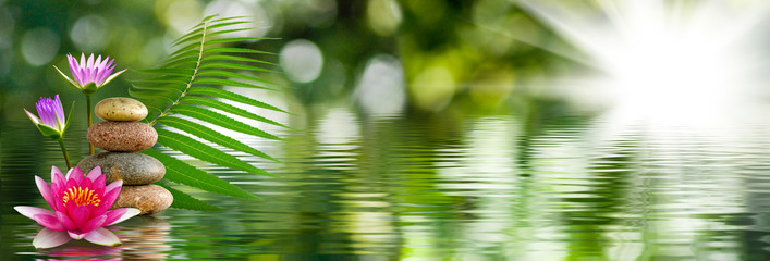 obraz kwiatu lotosu na wodzie