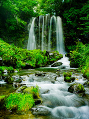 Piękna jesień w Japonii