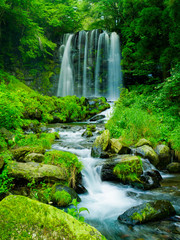 Piękna jesień w Japonii