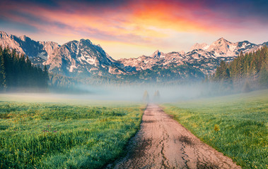 Unbelievable summer sunrise in Durmitor Nacionalni Park. Spectacular foggy view of of Montenegro countryside, Zabljak town location. Beautiful world of Mediterranean countries. 