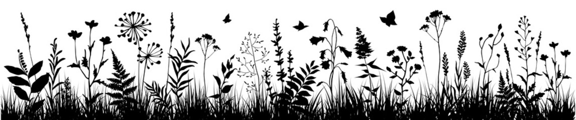 Tło z czarne sylwetki łąkowych dzikich ziół i kwiatów. Polne kwiaty Tło kwiatowy. Dzika trawa. Ilustracji wektorowych.