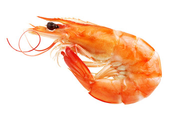 Dried shrimp on white background
