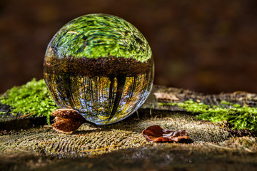 szklana kula w lesie, piękny krajobraz, makro