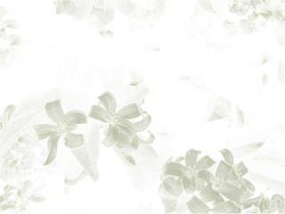 ABSTAKCYJNE KWIATY SZARE KOLORY, BIEL