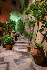 Klimatyczna skalna ścieżka w Cinque Terre, Włochy