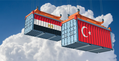 Freight container with Egypt and Turkey national flag. 3D Rendering