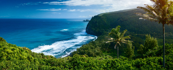 Panorama of the northern coast of the Big Island with steep green cliffs and blue Pacific Ocean, Hawaii