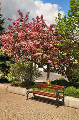 Freedom square in Biala Podlaska. Poland