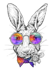 Ręcznie rysowane hipster styl portret zabawny królik w okularach.