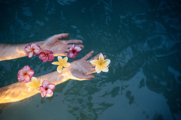 Woman hands holding colorful Plumeria flower in water
