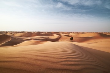 Sand dunes in desert landscape