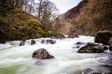 Rzeka w parku narodowym 