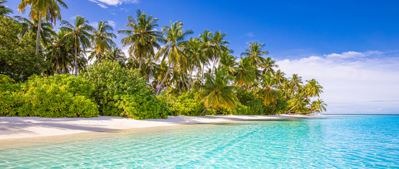 Tropikalna plaża tło jako letni krajobraz z białym piaskiem i palmami kokosowymi w pobliżu spokojnego morza na baner plaży. Idealne wakacje na plaży i koncepcja wakacji letnich.