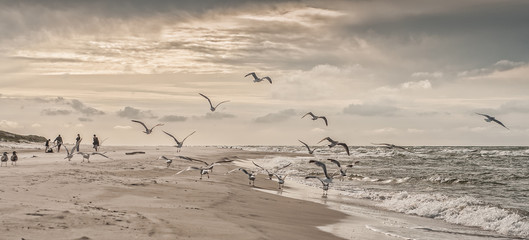 Lubiatowo / pomorskie / Polska
